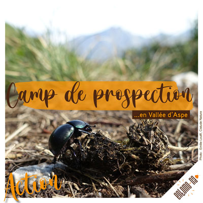 {visuel camp de prospection}