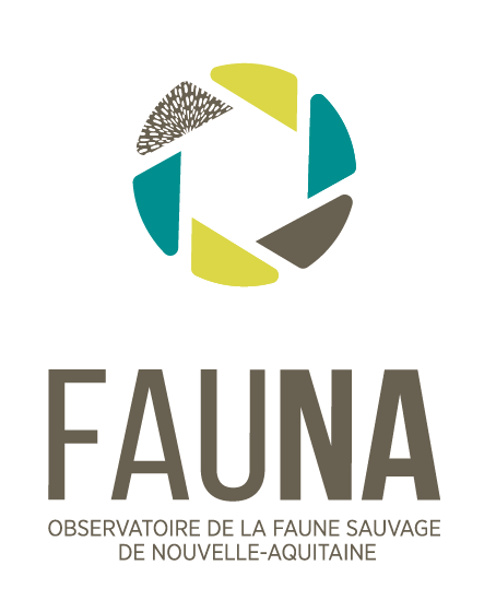 FaunA